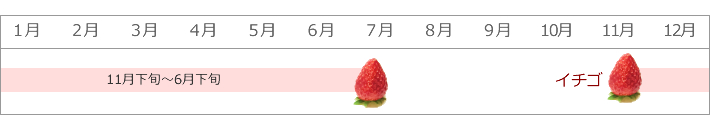 イチゴの収穫カレンダー