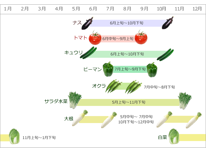 野菜の収穫カレンダー